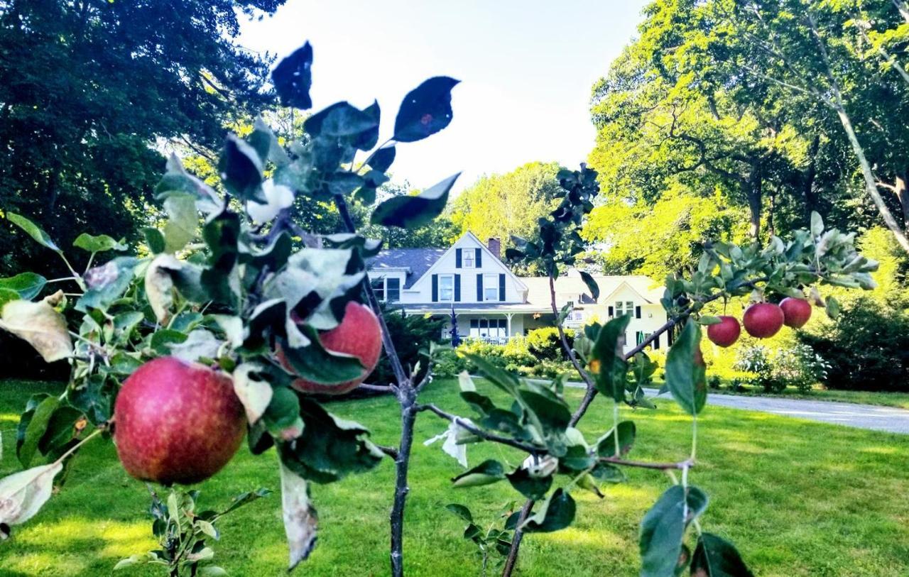 קמדן Timbercliffe Cottage Inn מראה חיצוני תמונה